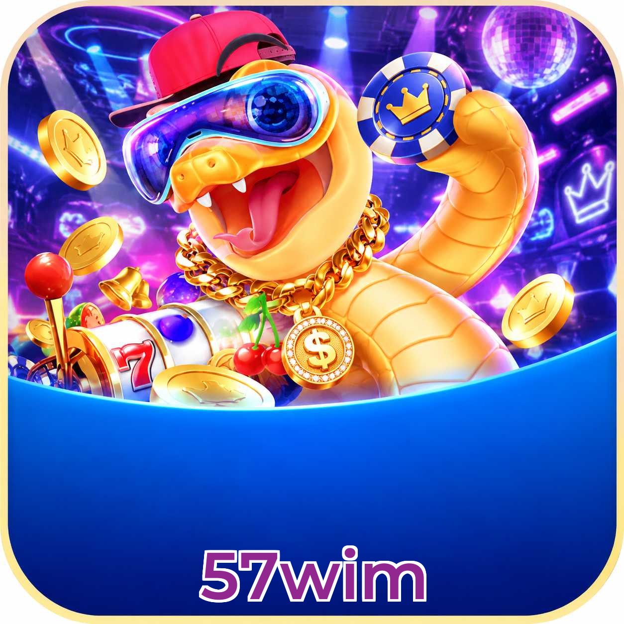57wim VIP FAQ