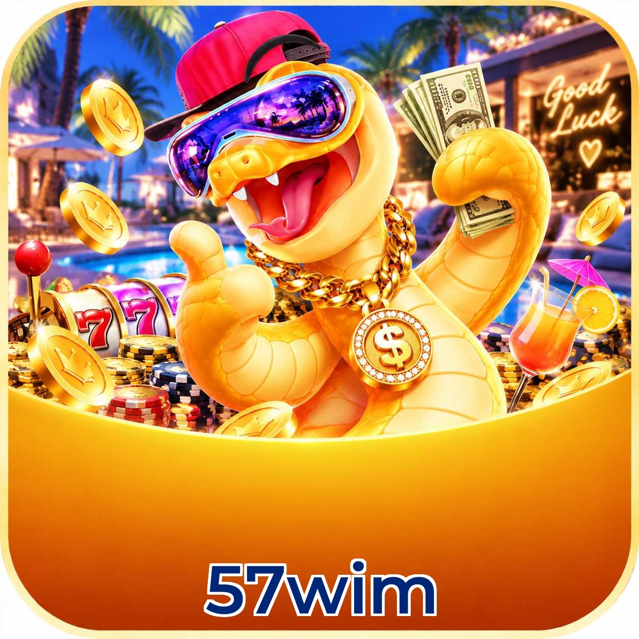 57wim VIP Program